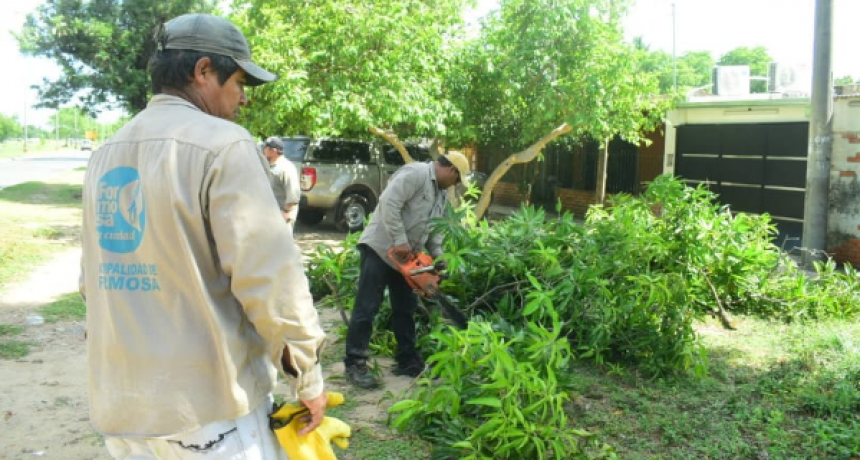 Múltiples intervenciones para el mantenimiento de espacios verdes de la ciudad