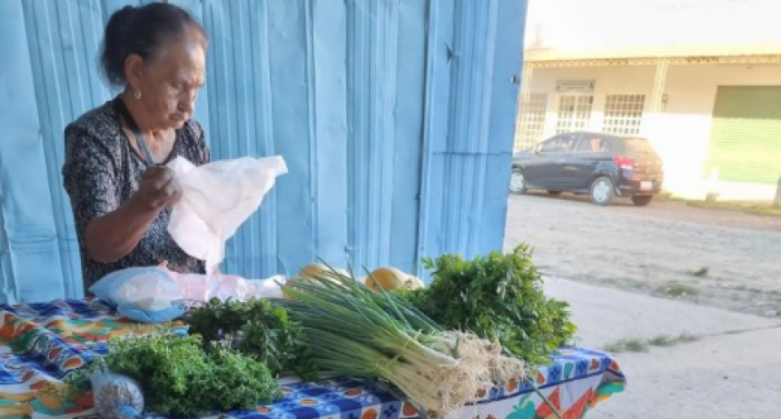 NAINECK: Positivo balance en producción, con los paipperos afianzando su capacidad de reconversión