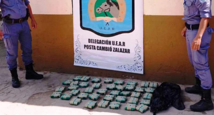 Secuestran 40 paquetes de hojas de coca que trasladaba un camionero