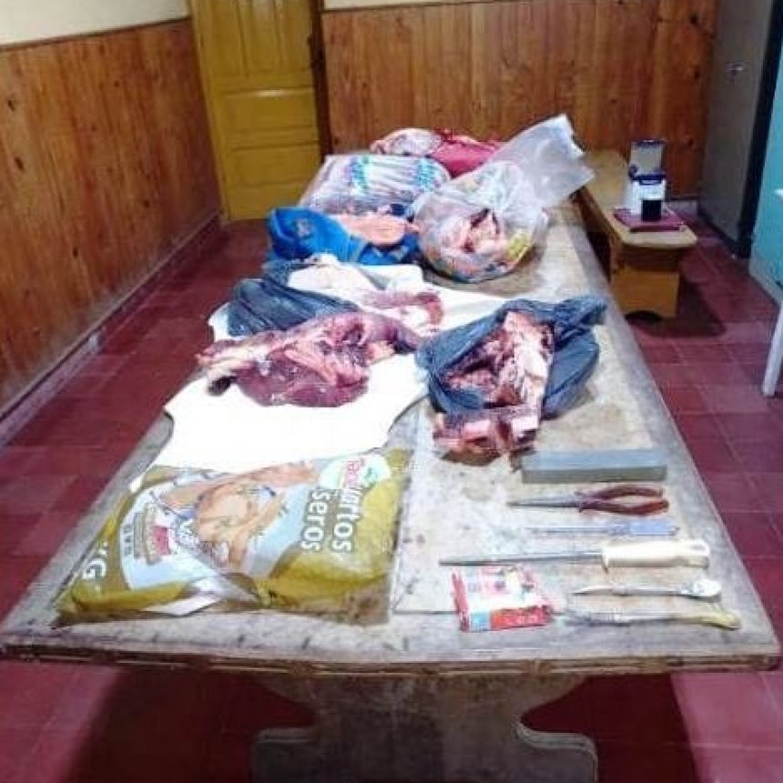 Esclarecen el robo de una carnicería en El Colorado