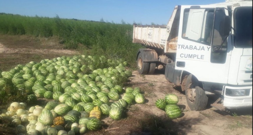 Aun frente a la sequía, paipperos juarenses lograron obtener una buena cantidad de sandías