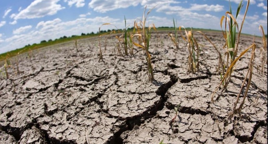 “Acciones aisladas no dan soluciones definitivas”