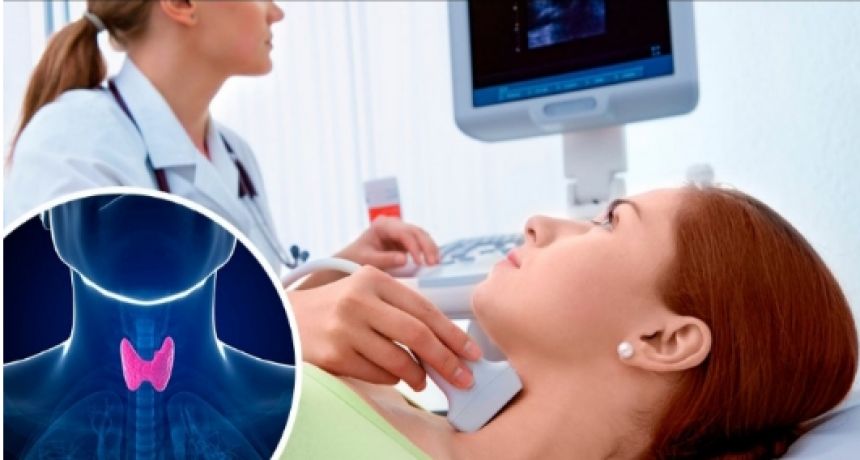 Busco un embarazo y tengo hipotiroidismo! Que hago? 