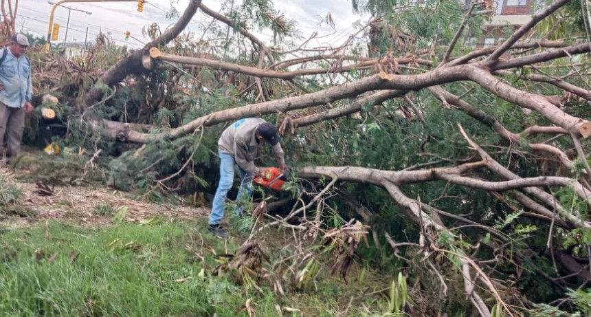 El Comando de Prevención y Emergencia continúa trabajando en la ciudad para recomponer lo que dejó la tormenta de la semana pasada