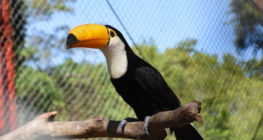 Reserva Guaycolec, una de las opciones para visitar en estas vacaciones
