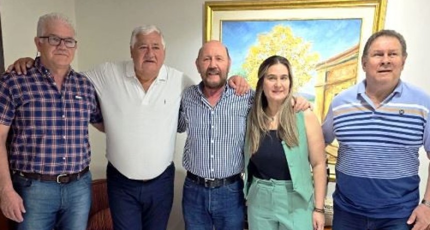 El gobernador Insfrán se reunió con referentes de la Federación de Luz y Fuerza