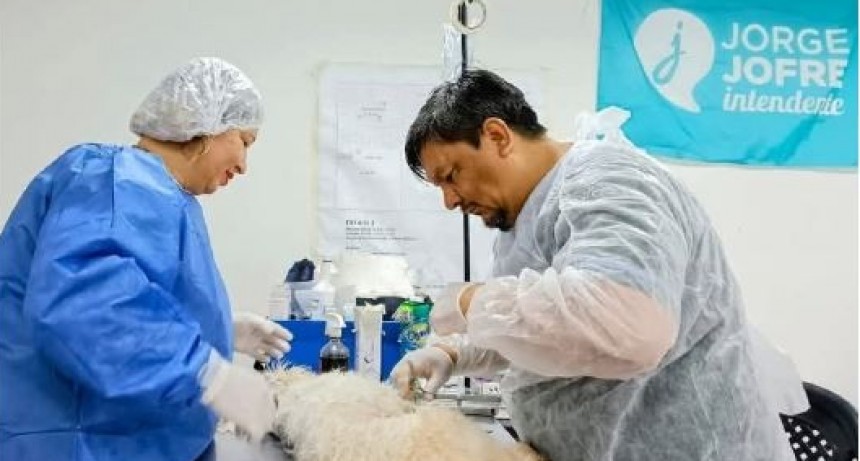 Zoonosis inform&oacute; d&iacute;as y horarios de atenci&oacute;n durante la temporada de verano