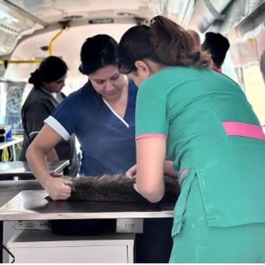 La Municipalidad de Formosa continuar&aacute; fortaleciendo la salud animal en el 2026