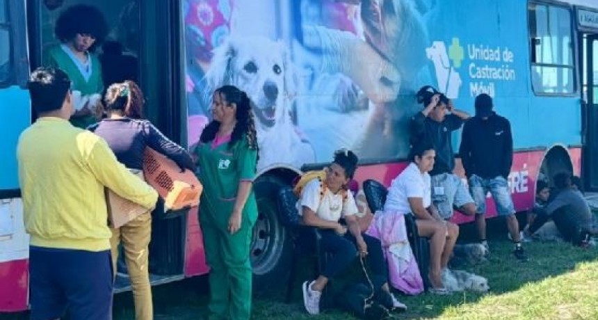 CON IMPORTANTE CONCURRENCIA SE DESARROLL&Oacute; OPERATIVO DE CASTRACI&Oacute;N Y DESPARASITACI&Oacute;N EN EL BARRIO 28 DE JUNIO 