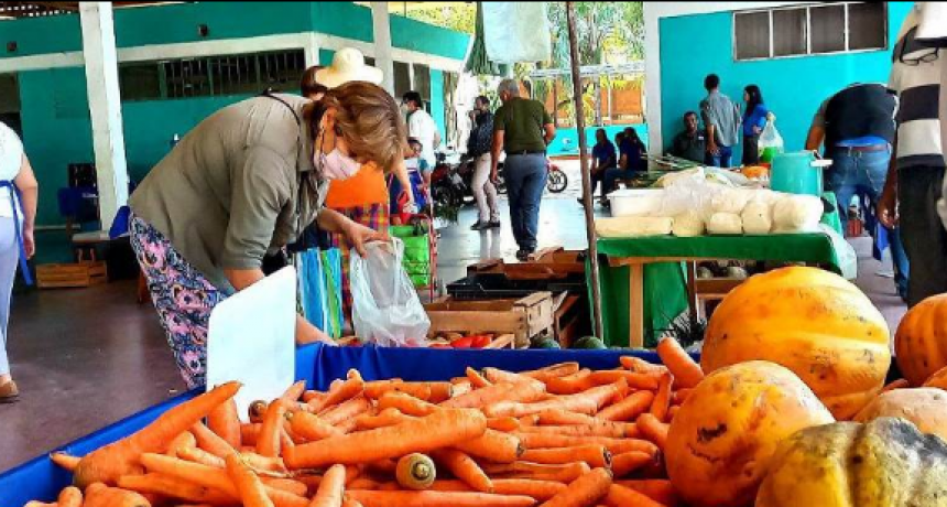 Este viernes, jornada de ferias paipperas en Capital