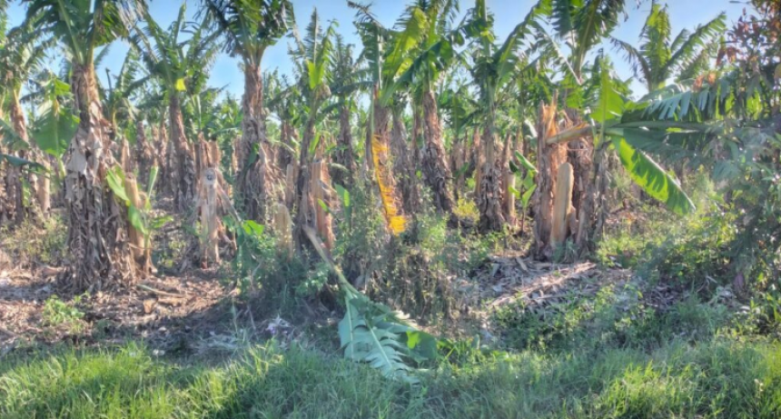 El gobierno provincial trabaja en las estrategias para sostener la situación de Emergencia Agrícola