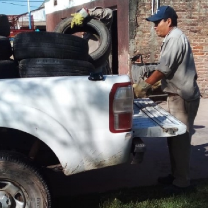 Aedes Aegypti: En Pirané refuerzan las tareas de prevención