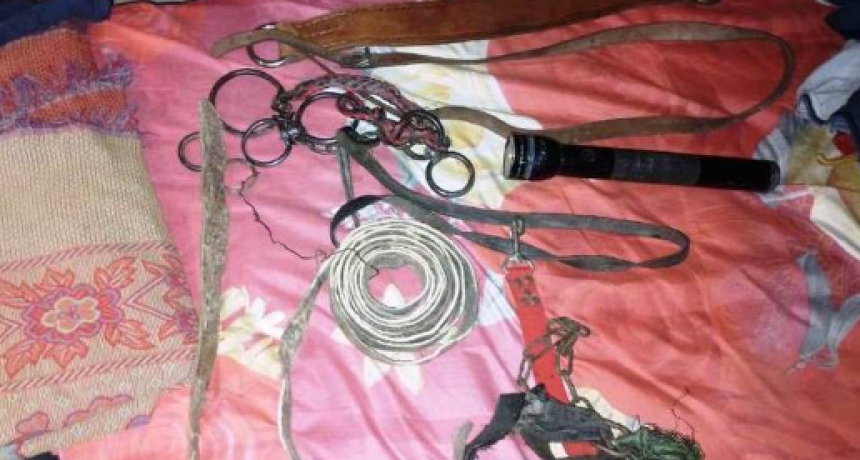 La Policía esclareció un hecho de Abigeato en Misión Tacaagle