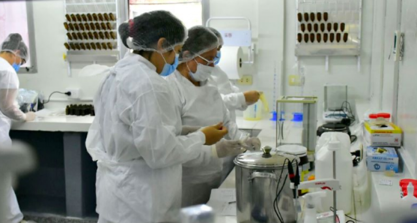 Laformed acentúa la producción para la campaña contra el mosquito aedes