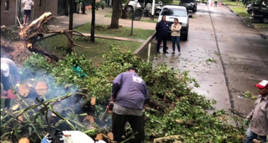 La Municipalidad de Formosa continuó trabajando durante todo el domingo para limpiar la ciudad tras el temporal
