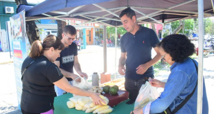 Esta semana vuelven los bolsones saludables