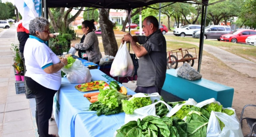 Este martes regresan los tradicionales bolsones saludables