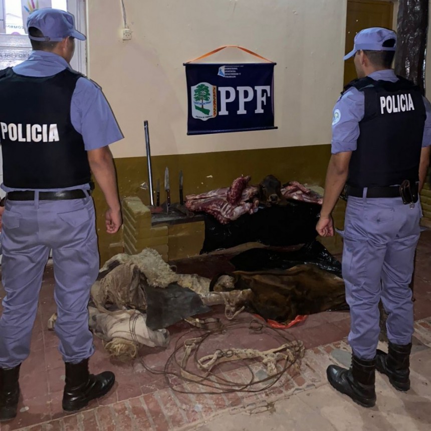 Secuestran carne vacuna y otros elementos de interés en una causa judicial