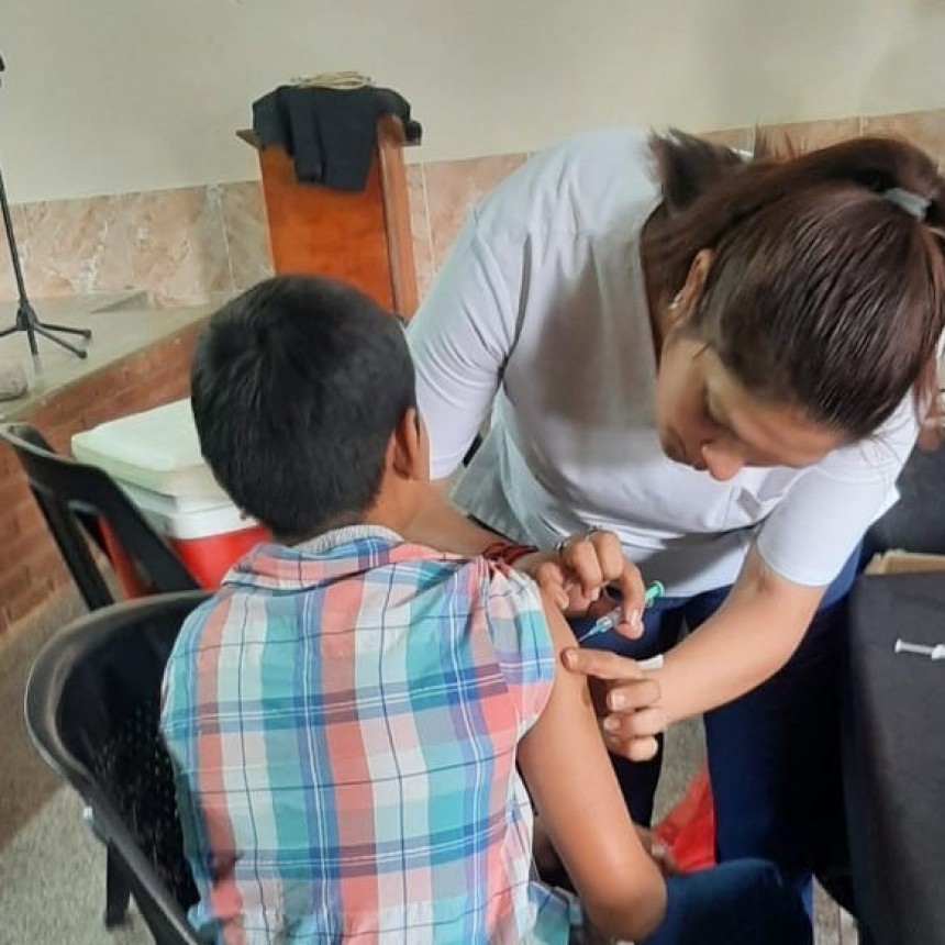 Ante el inicio de un nuevo ciclo lectivo, recomiendan completar el calendario de vacunación de niños en edad escolar