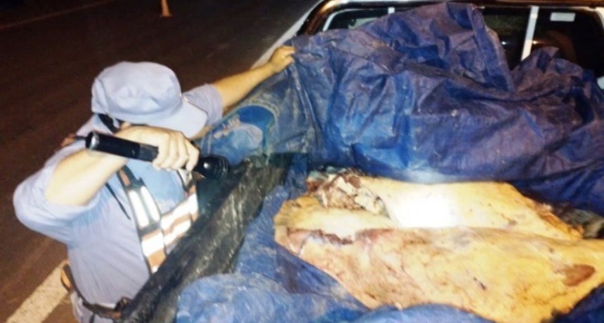 Secuestran 200 kilos de carne vacuna transportada de forma irregular