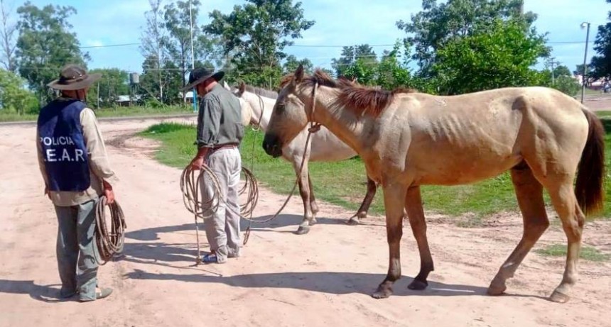 La UEAR intensifica operativos y patrullajes en zonas rurales