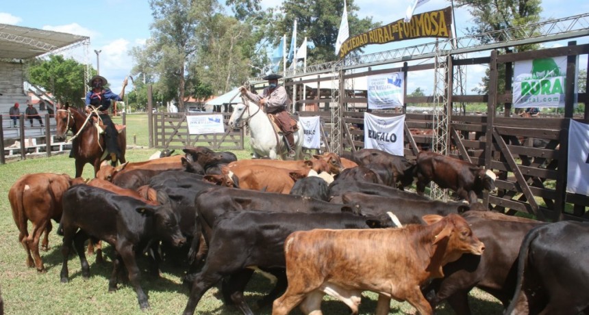 El 6 de marzo se realizará la edición 43° de la Fiesta del Ternero y Novillito Formoseño.