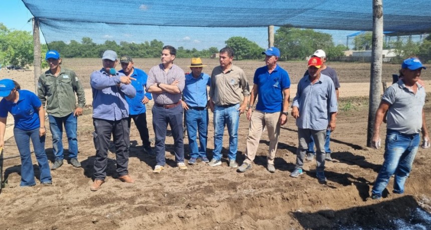 Organizaron capacitación para pequeños productores sobre manejo de hortalizas de hoja