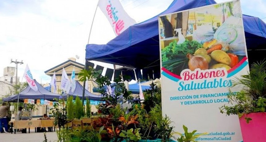 Desde la próxima semana estarán disponibles los tradicionales Bolsones Saludables
