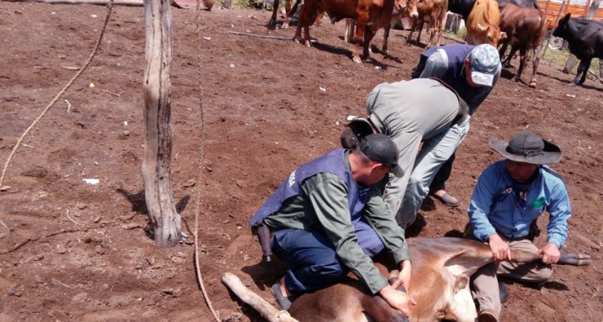 Integrantes de la (UEAR) Sección Bartolomé de las Casas realizaron dos allanamientos