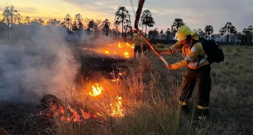 Un incendio de pastizal afect&oacute; 450 hect&aacute;reas de campo