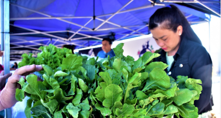 Soberanía Alimentaria Formoseña abrirá este jueves en sus cuatro centros fijos de venta