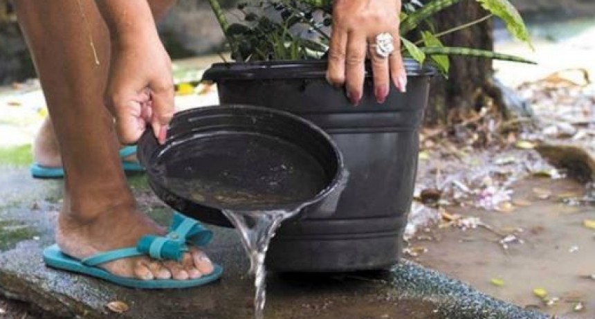 Dengue: Tras las lluvias, refuerzan el llamado a eliminar criaderos de mosquitos