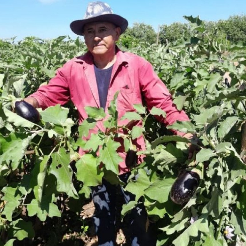 Laguna Blanca: Este jueves se lanza la campa&ntilde;a de &ldquo;siembra de segunda&rdquo; para familias paipperas