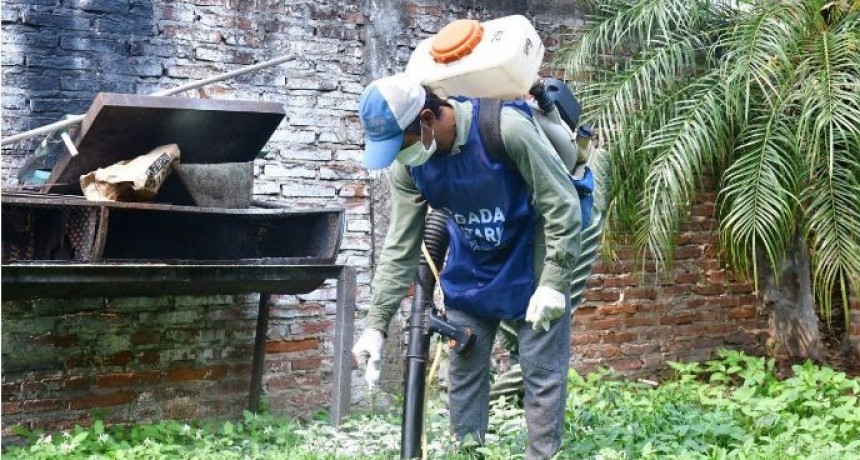 El &uacute;ltimo reporte inform&oacute; un leve aumento de casos positivos de dengue