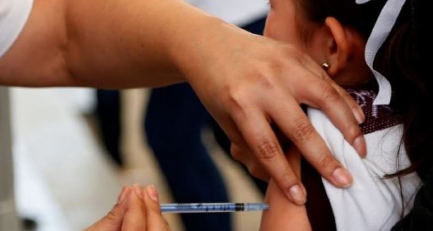 Antes del inicio de clases recomiendan controlar y completar el carnet de vacunaci&oacute;n de ni&ntilde;as y ni&ntilde;os en edad escolar