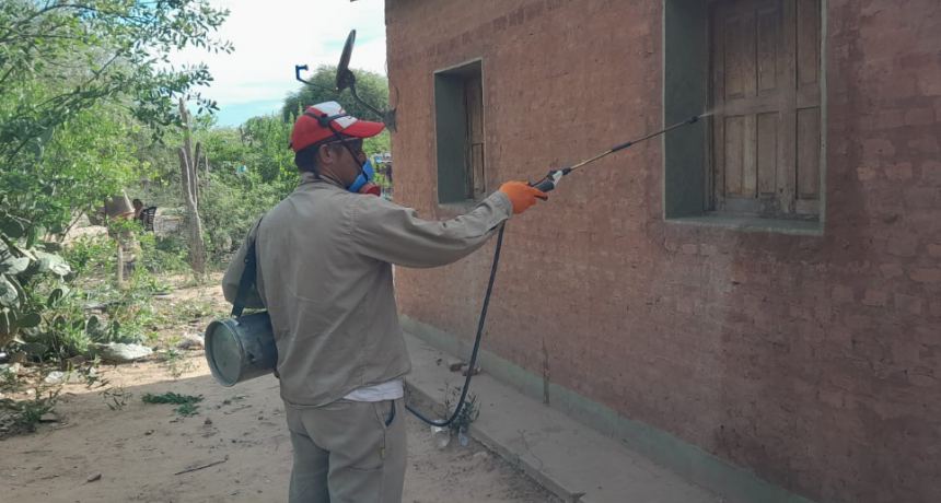 Se completaron ciclos de trabajos contra el Chagas en el oeste