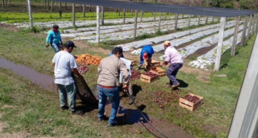 El Gobierno de Formosa garantizó la entrega de bolsones Nutrir en época de sequía