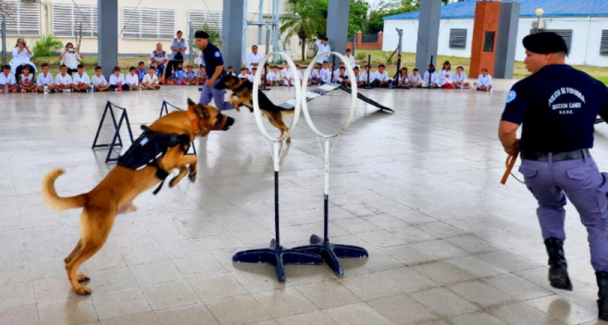 La Sección Canes de la Policía realizó una exhibición en la Escuela 396 del barrio Itatí I