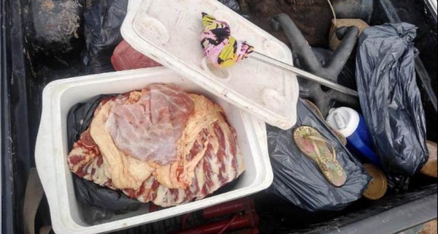 Secuestran carne vacuna y pescado durante destacado operativo conjunto
