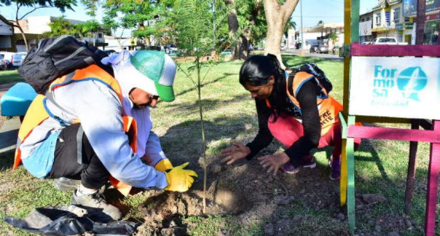 La comuna plant&oacute; especies arb&oacute;reas en avenidas de la ciudad en conmemoraci&oacute;n del D&iacute;a del &Aacute;rbol