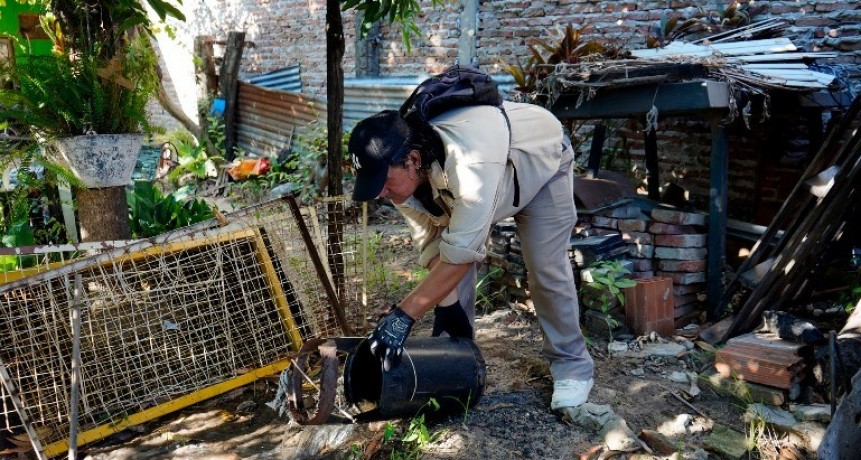 Dengue: Preocupación por la alta cifra de viviendas positivas detectadas con larvas de Aedes en el circuito cinco