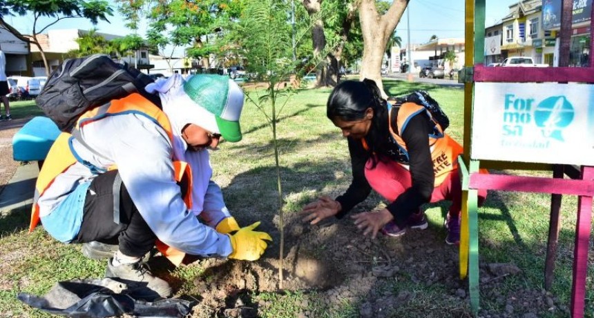 El Municipio ofrece a los vecinos la plantación de hasta dos árboles por familia, de manera gratuita