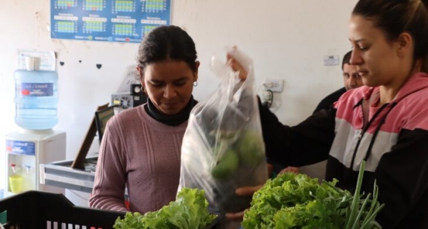 Plan Nutrir: Hubo entregas normales de bolsones en los días feriados