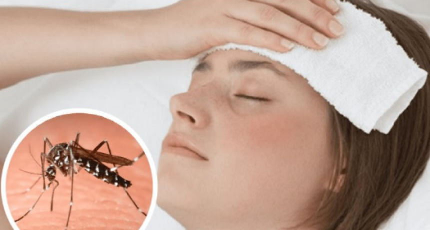 Esta semana, los casos de dengue cerraron sin importantes variaciones en las cifras respecto a la anterior