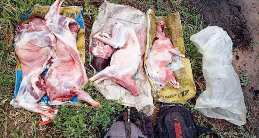 Detuvieron a un hombre involucrado en un caso de robo