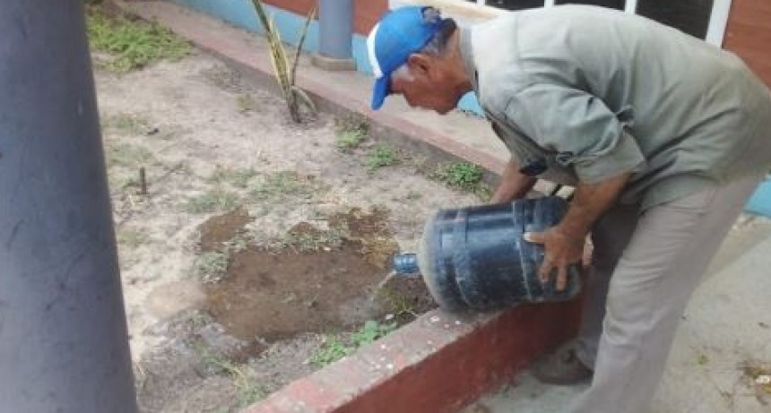 Ligero aumento de los casos de dengue en el recuento de esta semana