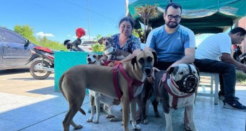 La comuna implementó un nuevo sistema para otorgar turnos de castración gratuita a los animales