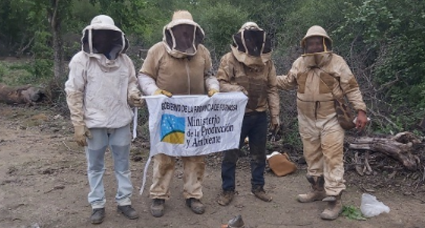 El Potrillo: productores locales de miel fueron convocados al Congreso Apimondia 2023