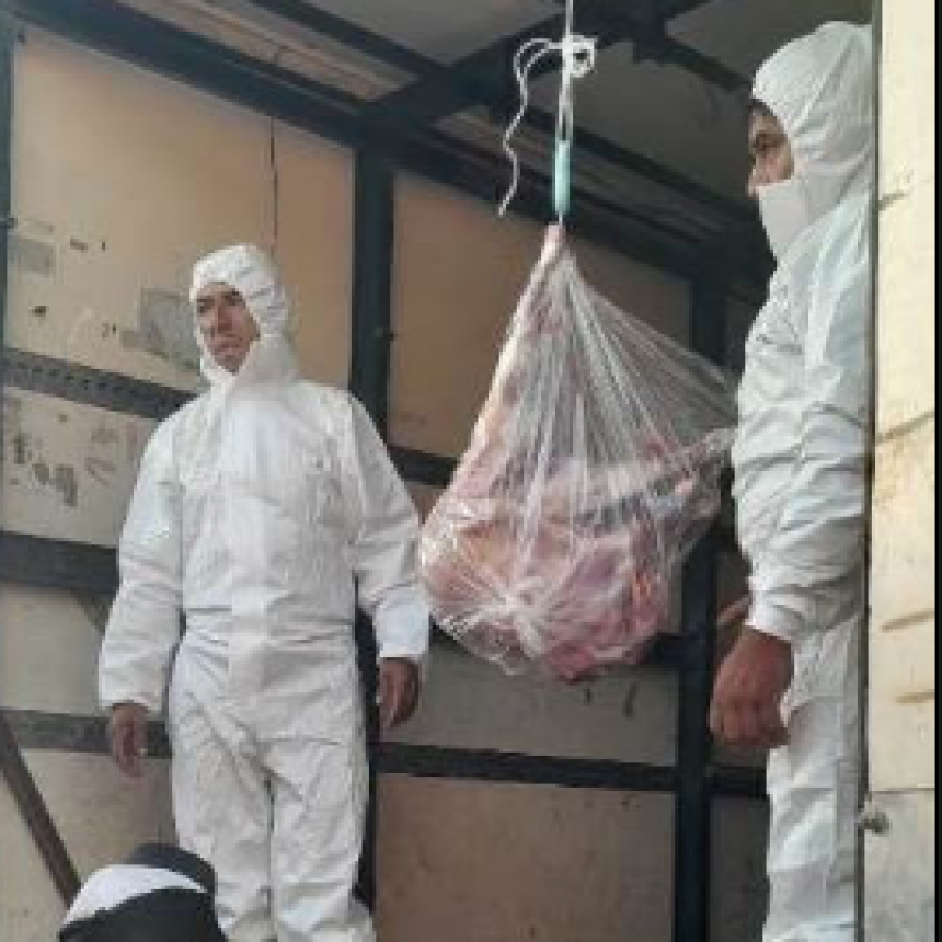 Llegan los ejemplares de chivitos formoseños a la Capital para su comercialización en Semana Santa