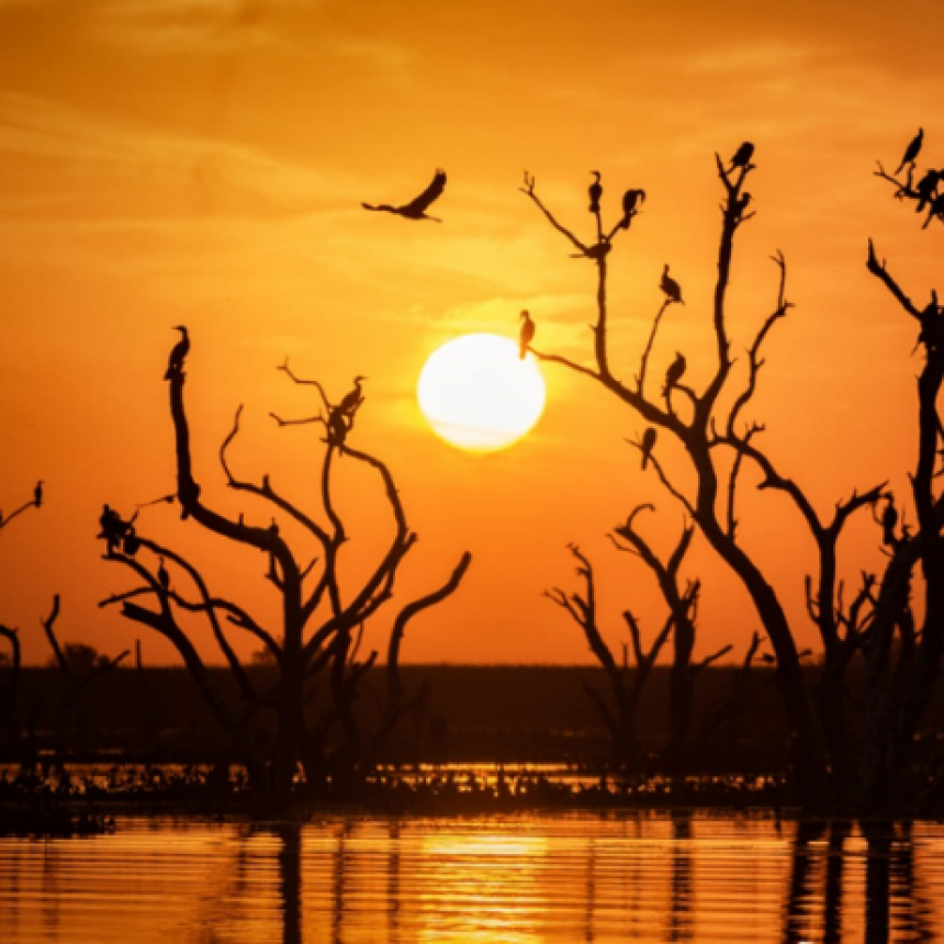 La muestra fotográfica “Paisajes de mi Tierra” se presentará en la Cámara de Diputados de la Nación